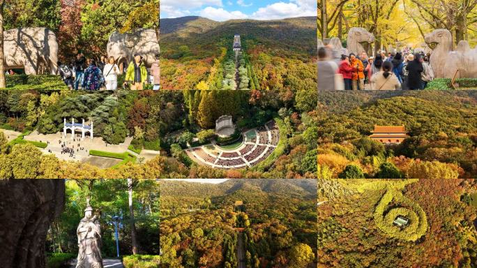 2025 紫金山秋景