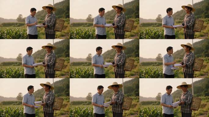 村干部与农民田间交流