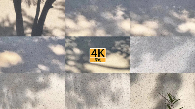 午后树影斑驳墙面光影