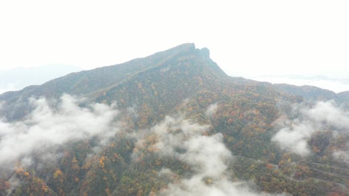 秋雾笼罩的连绵山峦