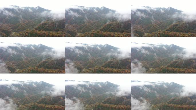 秋雾笼罩的连绵山峦