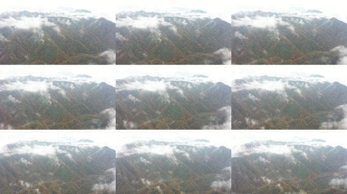 秋雾笼罩的连绵山峦