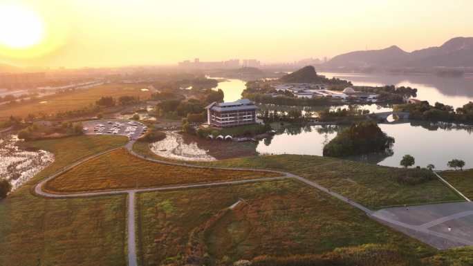 杭州萧山湘湖景区花海航拍