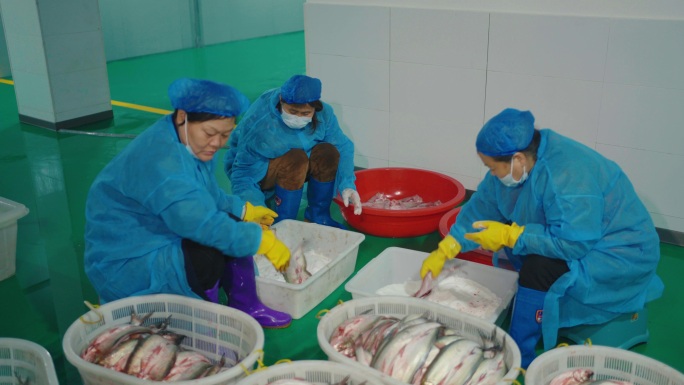 海鲜加工厂生产流水线