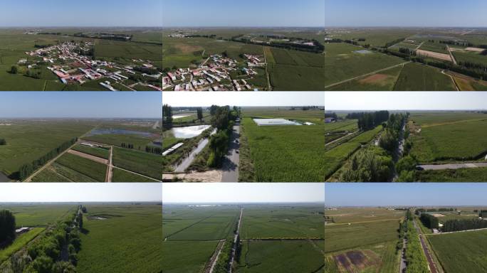 黄河岸边超长镜头的玉米地及灌渠E组