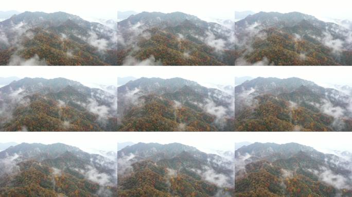 秋雾笼罩的连绵山峦