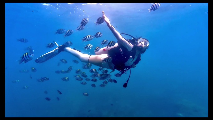 深海潜水与鱼群共舞