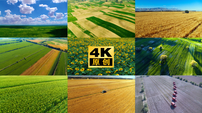 航拍农田乡村振兴玉米小麦棉花葵花农业粮食