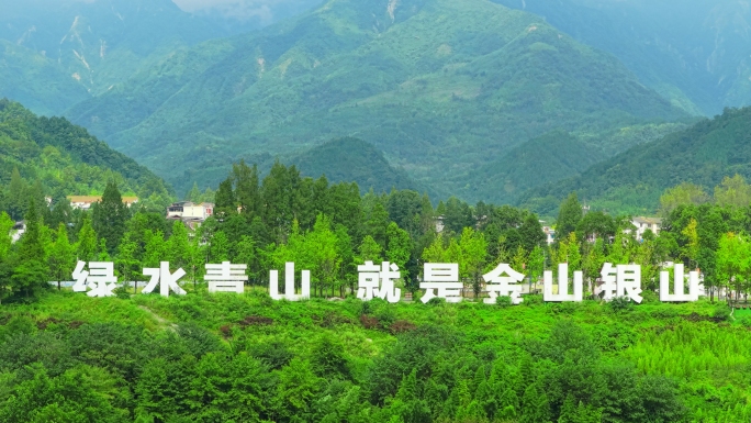 绿水青山就是金山银山
