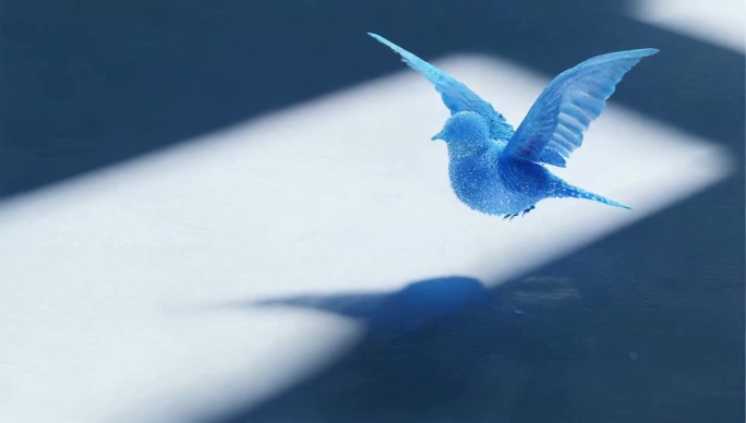 光影交错飞鸟视频素材