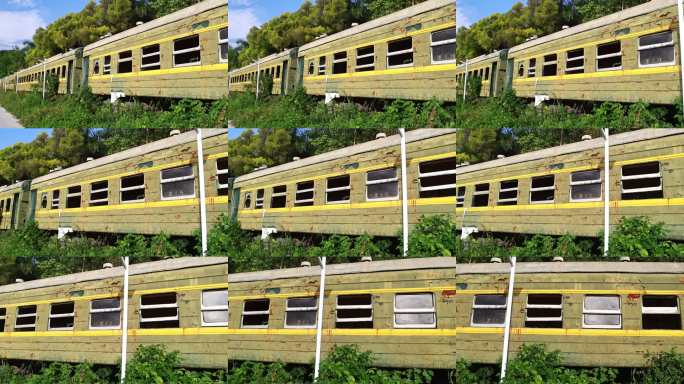 废弃绿皮火车 荒草