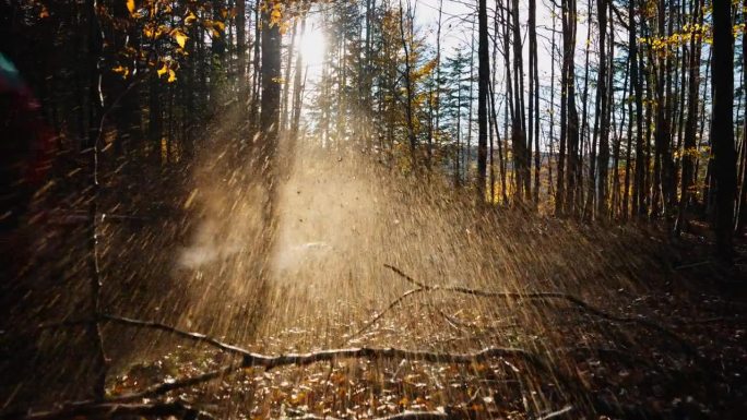 充满冒险精神的人在秋季森林小径上骑行