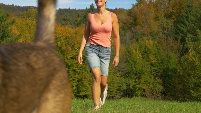 慢动作：一只狗叼着一根棍子，一位微笑的女士和另一只狗走在后面