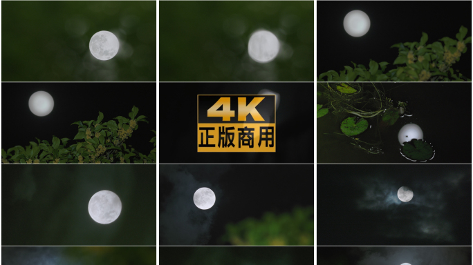 超级月亮 禅意哲思 唯美治愈 花好月圆