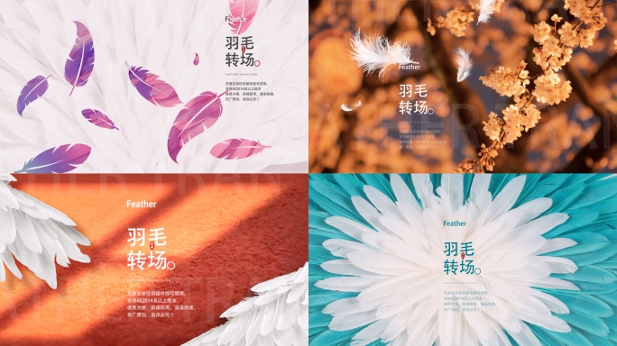 羽毛转场