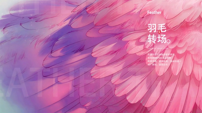 羽毛转场