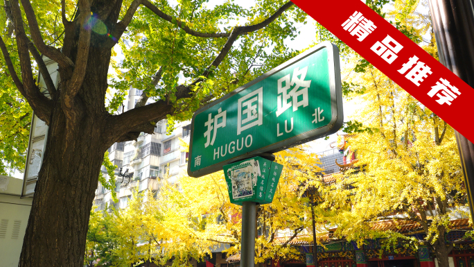 昆明护国路昆明秋天昆明银杏