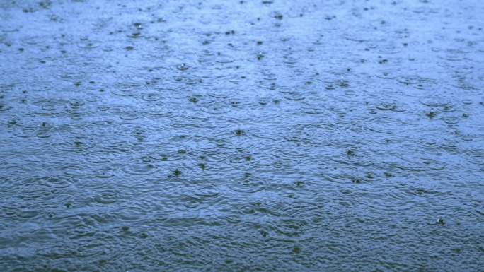 雨滴池塘树叶下雨水面