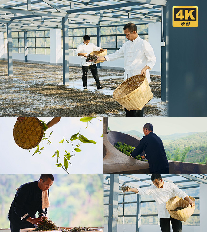 传统手工制茶工艺全过程炒茶晒茶茶庄茶叶