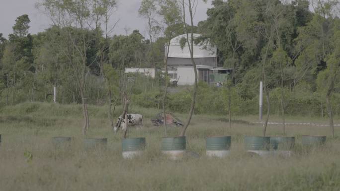 户外山地越野赛竞技娱乐