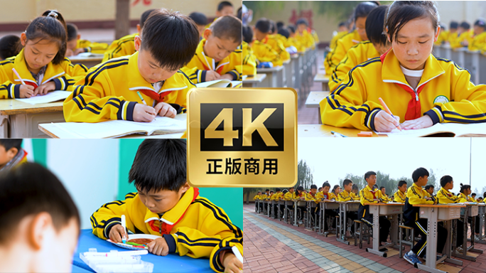 小学生课堂学习场景