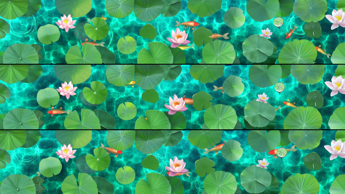 10k荷花荷叶 池塘 荷花池 地面投影