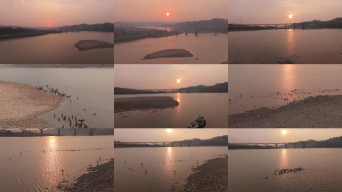 日出时刻飞鸟群集河面风光