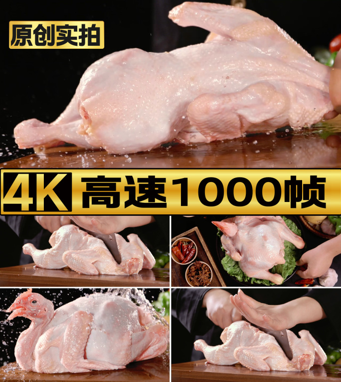 鸡土鸡整鸡生鸡肉新鲜鸡肉