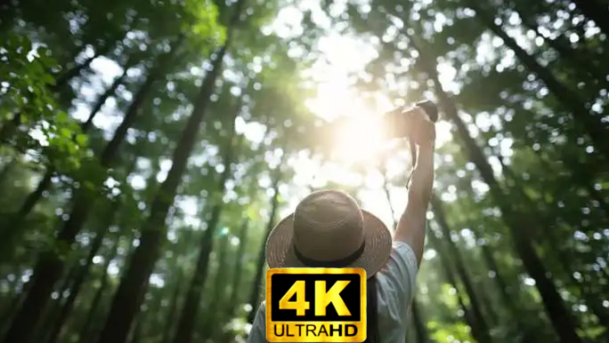 大自然树林徒步探险户外摄影自然原始森林