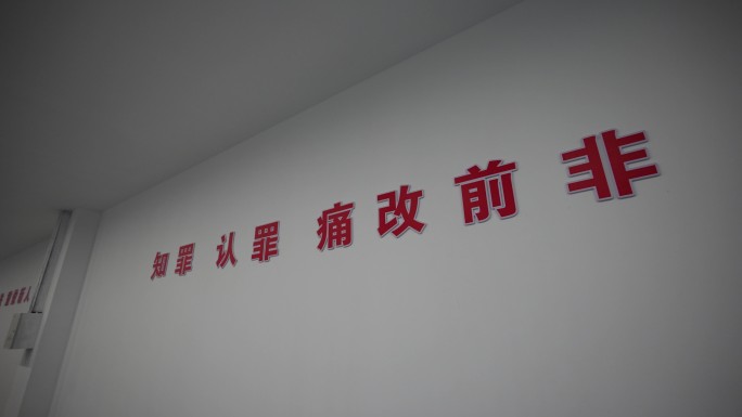 知罪认罪痛改前非标语