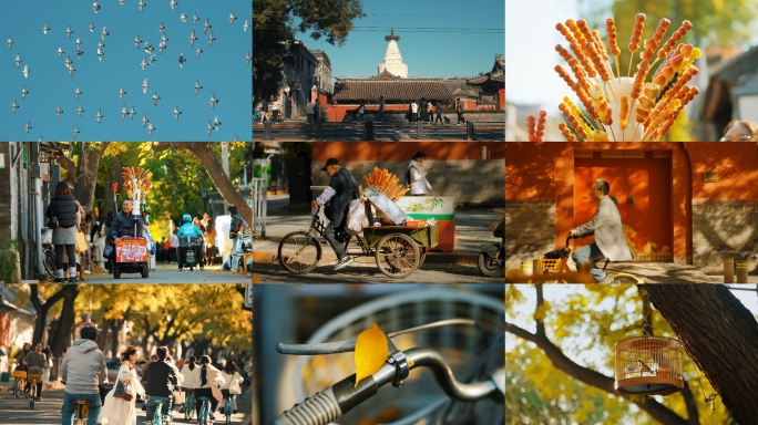北京胡同秋天街景人文生活烟火气