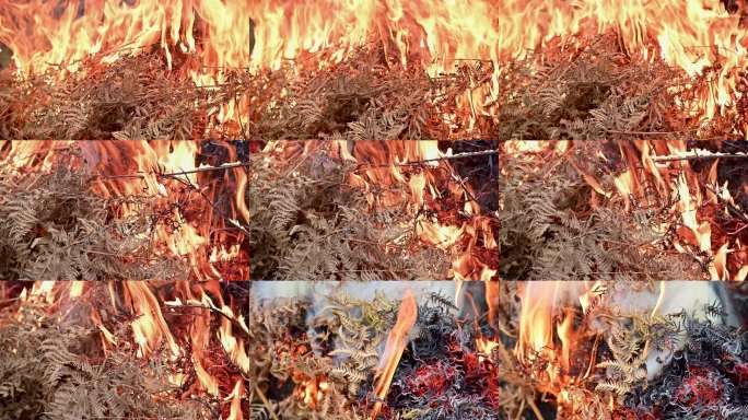 干草燃烧野外用火冬季森林防火