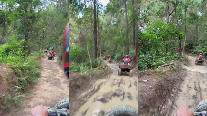 极地越野丛林穿行