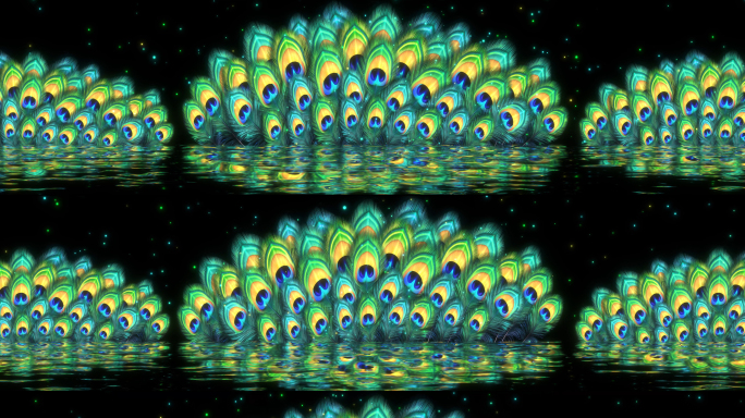 8k孔雀羽毛 孔雀舞 傣族舞背景