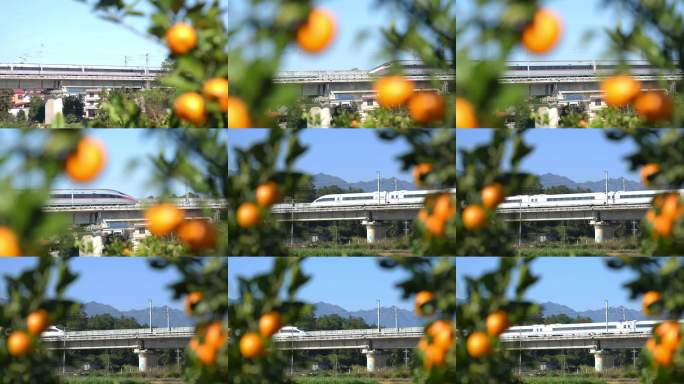 高铁蜜桔单反升格4K50