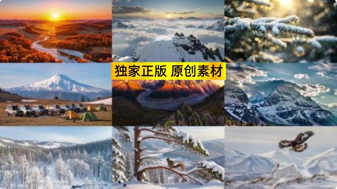 祖国大好河山 雪景日出云海动物 合集