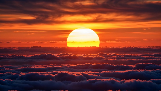 雪山日出云海日出东方日出森林草甸唯美风光