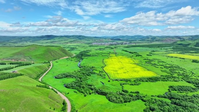 夏日草原油菜花海航拍美景（呼伦贝尔恩和）