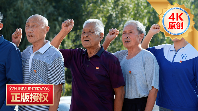 基层党员入党宣誓农村党员农村志愿者