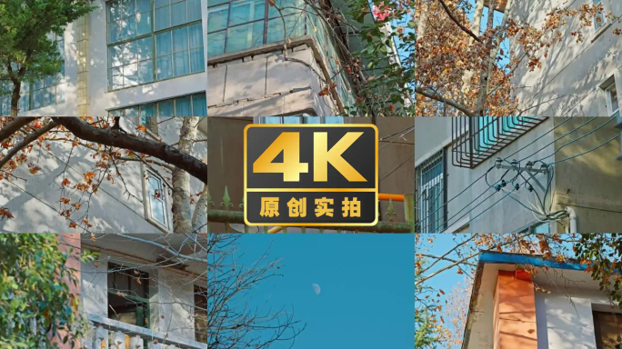 秋日老旧小区老房子光影空镜