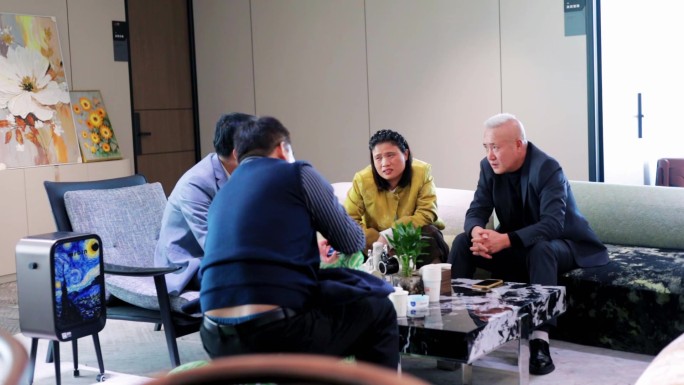 公司多人洽谈场景延时加速