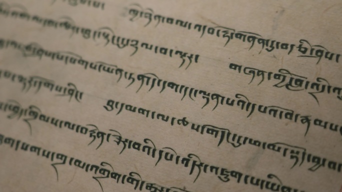 西藏拉萨《十六法典》