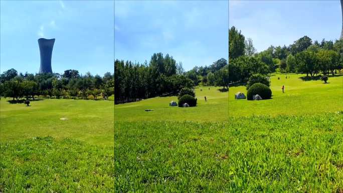 夏日公园绿地风光