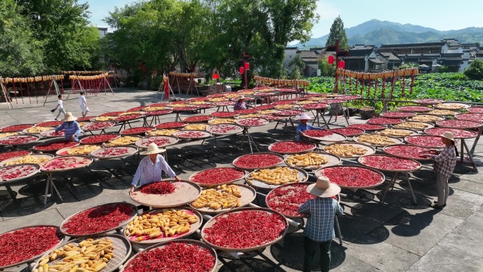 农家晒秋丰收场景