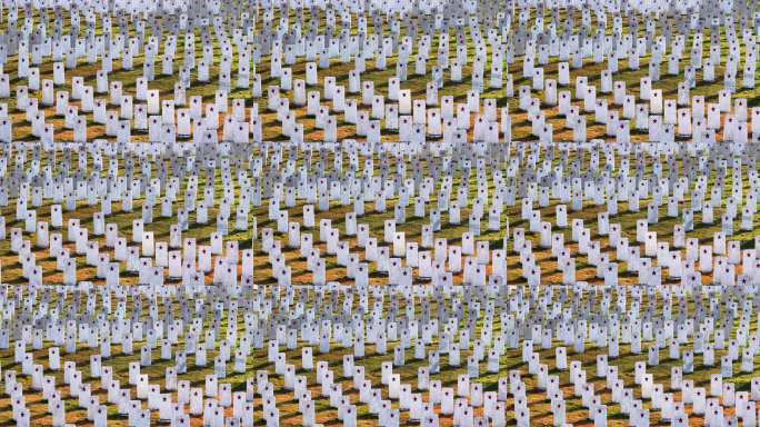 阳光下航拍最大红军烈士陵园墓碑缅怀先烈