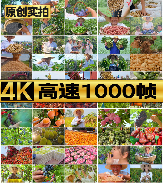 农业农民丰收收获幸福生活农民丰收乡村振兴