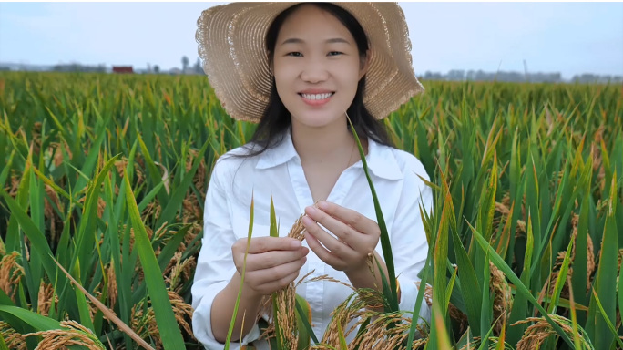 农业农民丰收收获幸福生活农民丰收乡村振兴