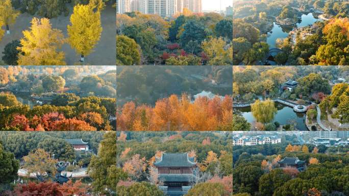 苏州昆山花桥花溪公园秋色