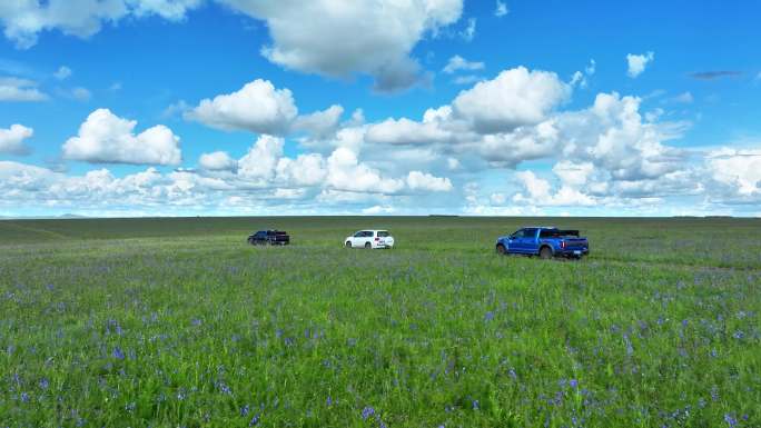 绿色草原上的车队穿行（呼伦贝尔大草原）