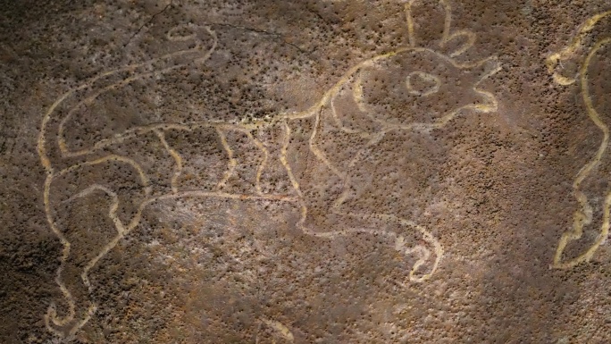 西藏阿里，日姆栋岩画